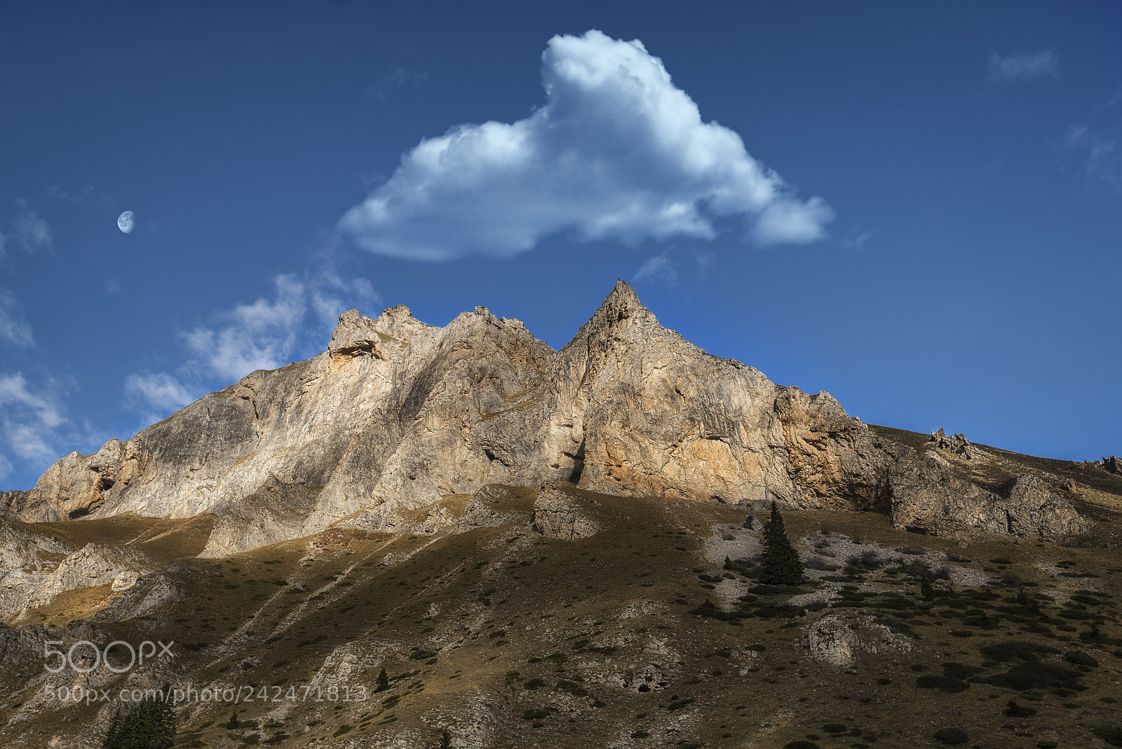 Nikon D810 sample photo. Moon above the rock photography