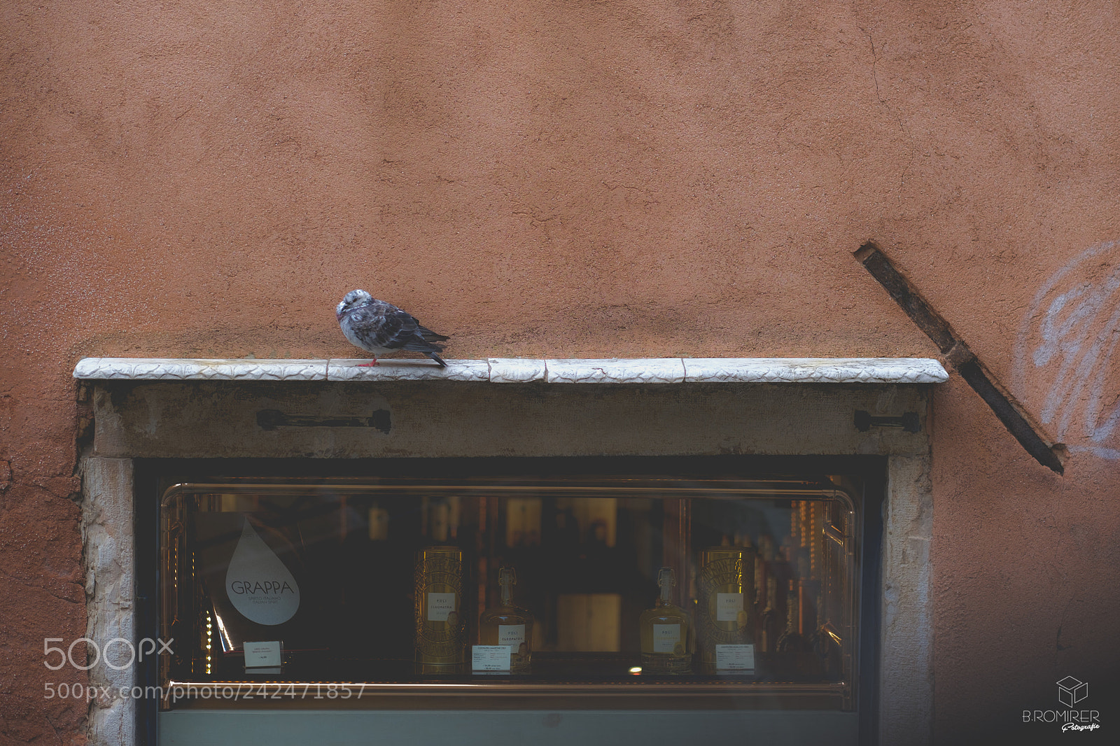 Fujifilm X-T2 sample photo. Dove above grappa photography