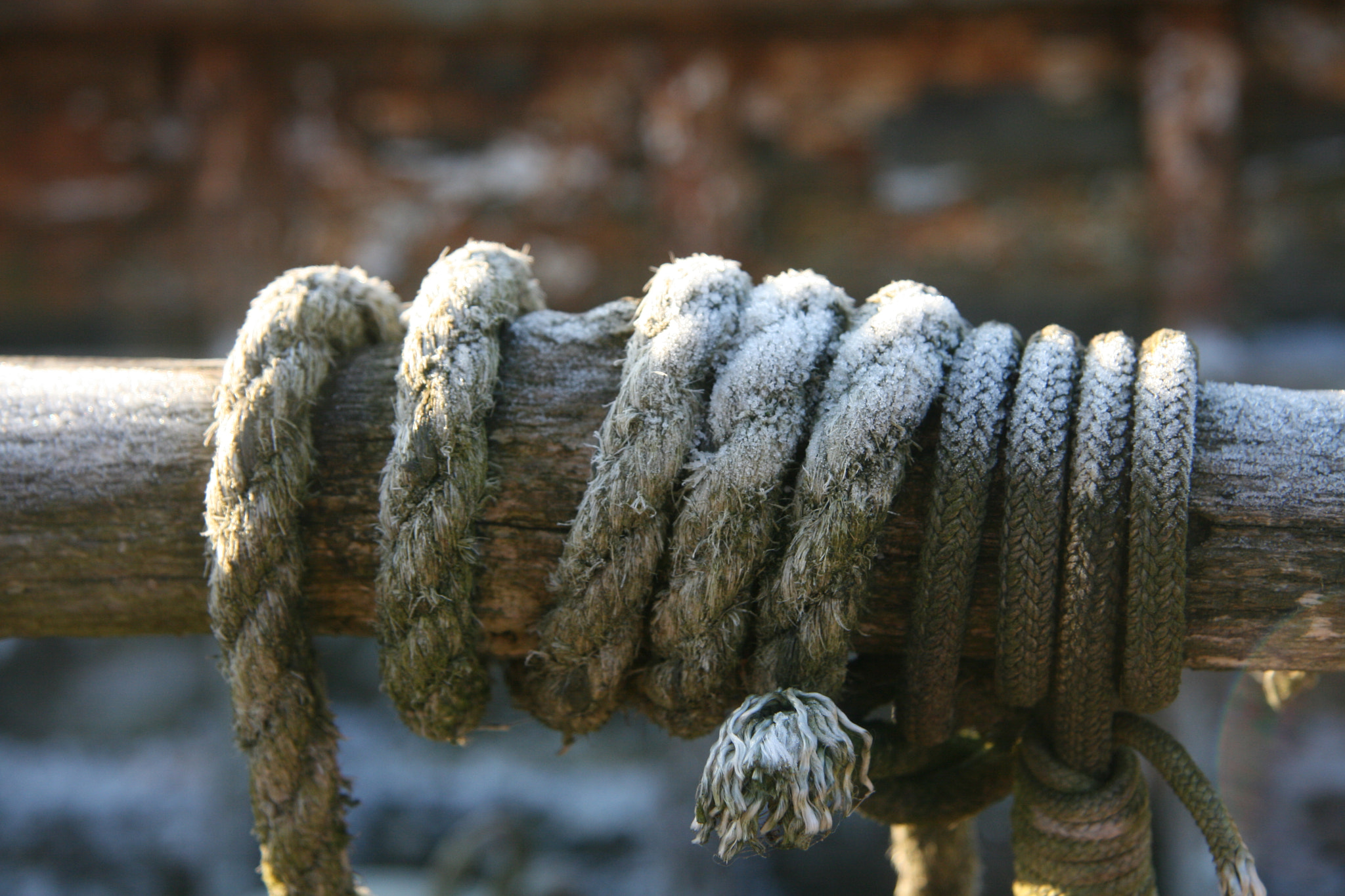 Canon EF-S 17-85mm F4-5.6 IS USM sample photo. Img photography