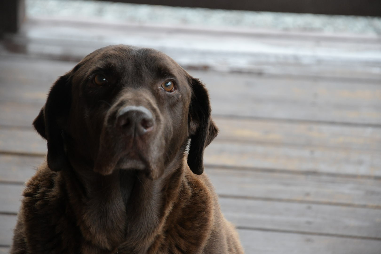 Nikon D850 sample photo
