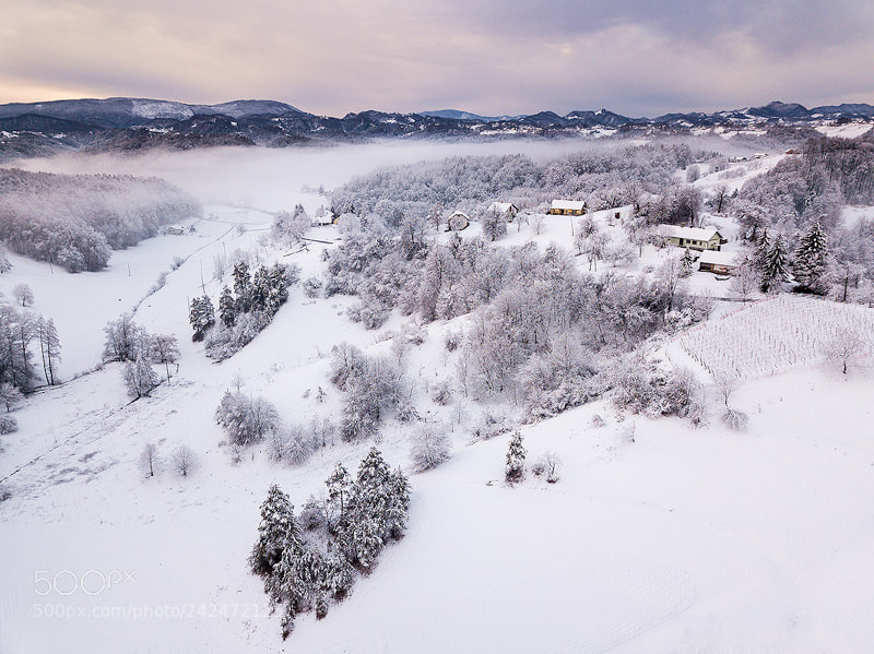 DJI FC220 sample photo. Winter idyl photography