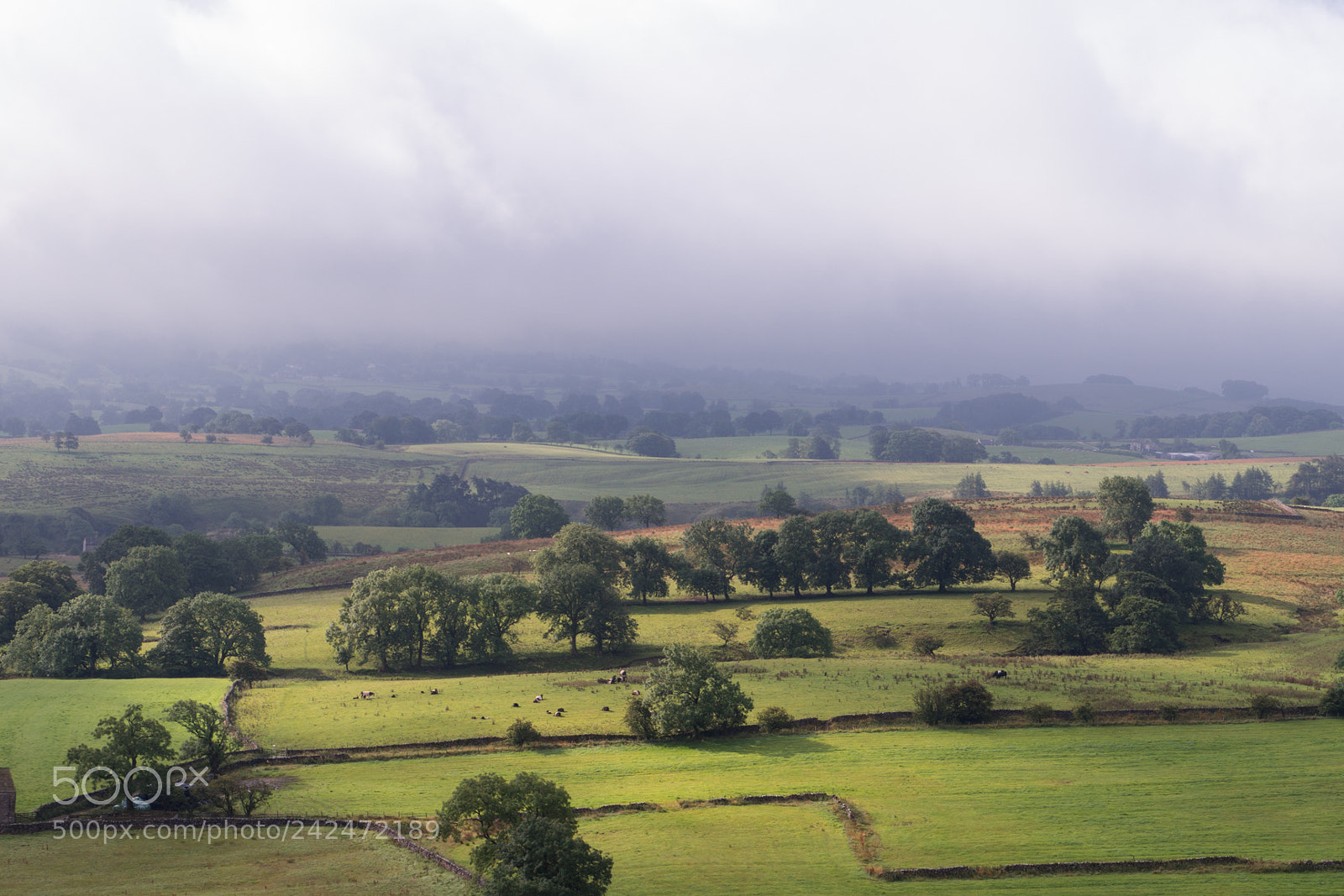 Olympus OM-D E-M10 II sample photo. Yorkshire mist photography