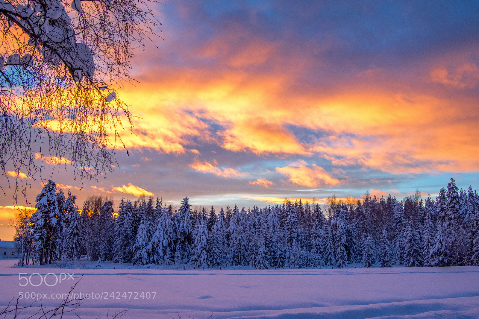 Nikon D7200 sample photo. Sunset in norway! photography