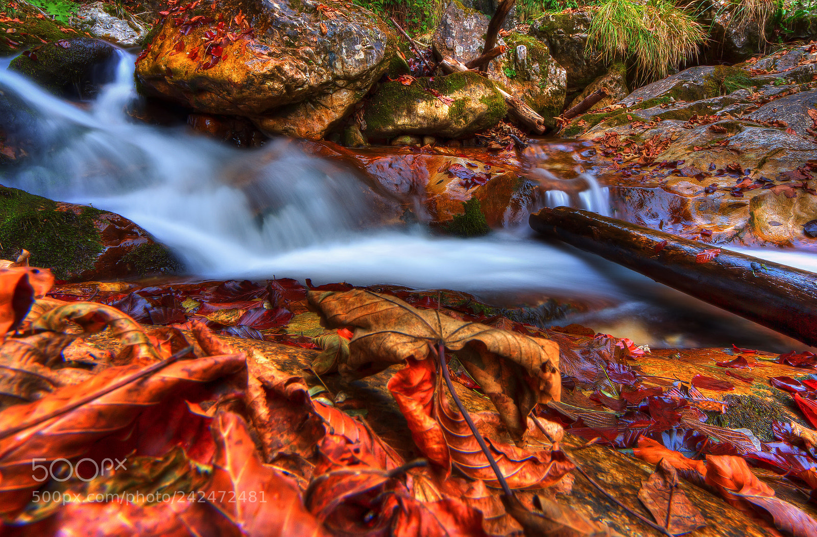Canon EOS 60D sample photo. Autumn colors photography