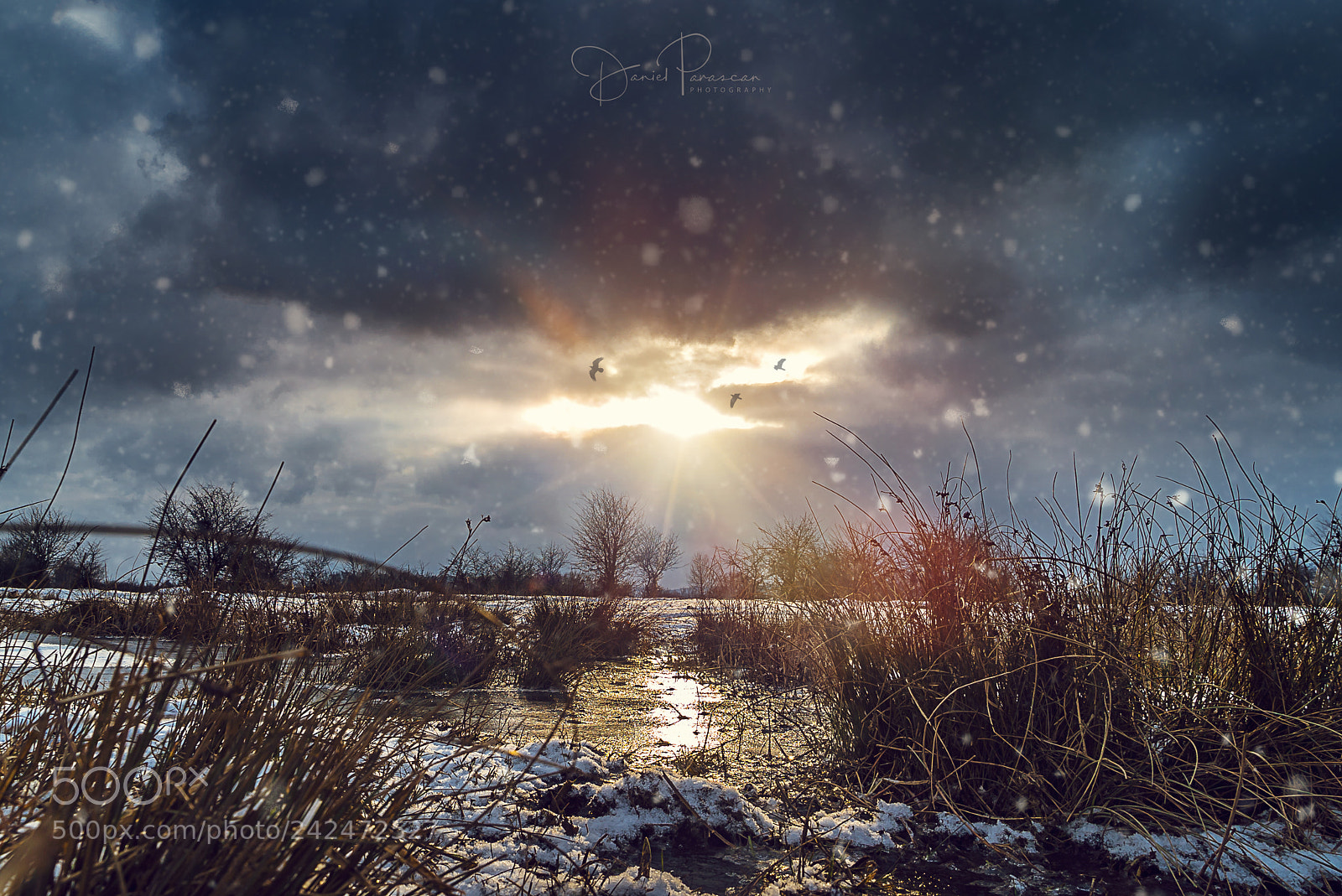 Sony a7S sample photo. Winter fairytale photography