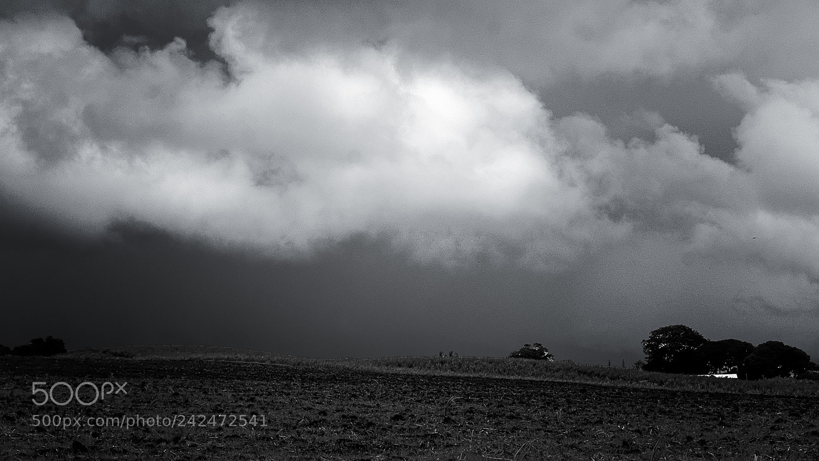 Sony a7 sample photo. Balade orageuse 2 photography