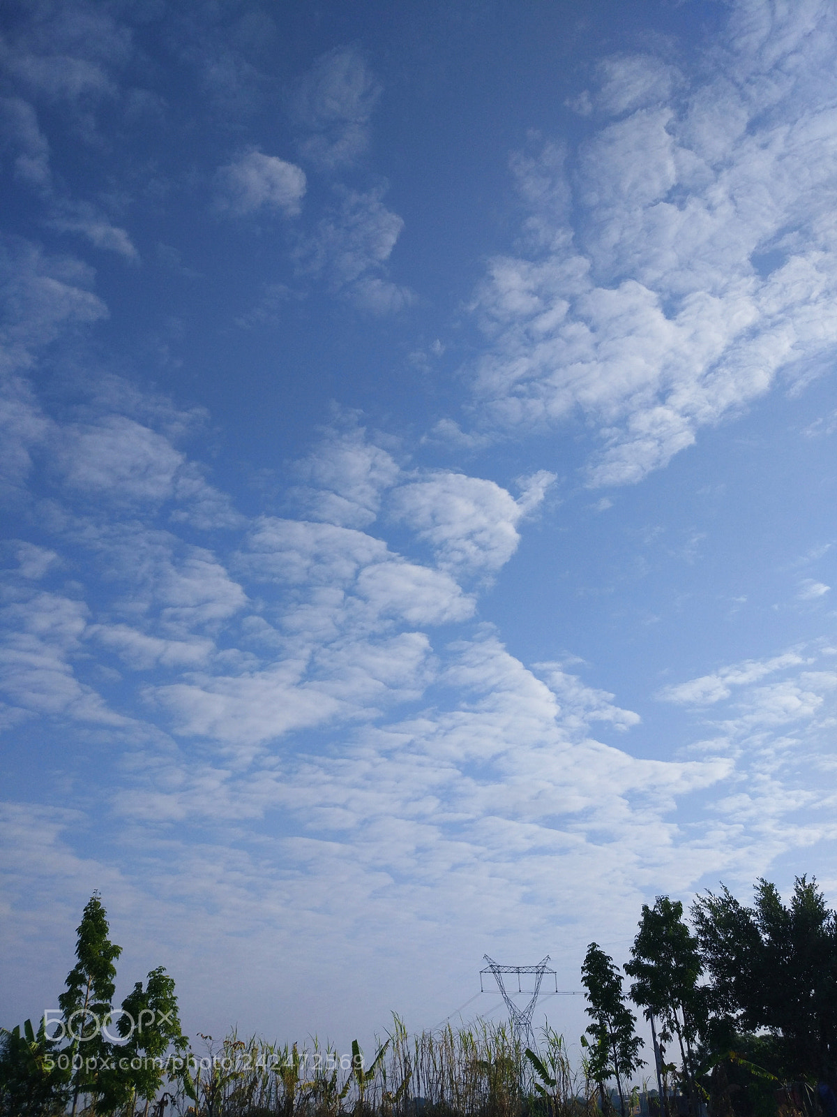 Xiaomi MI 5 sample photo. Untitled photography