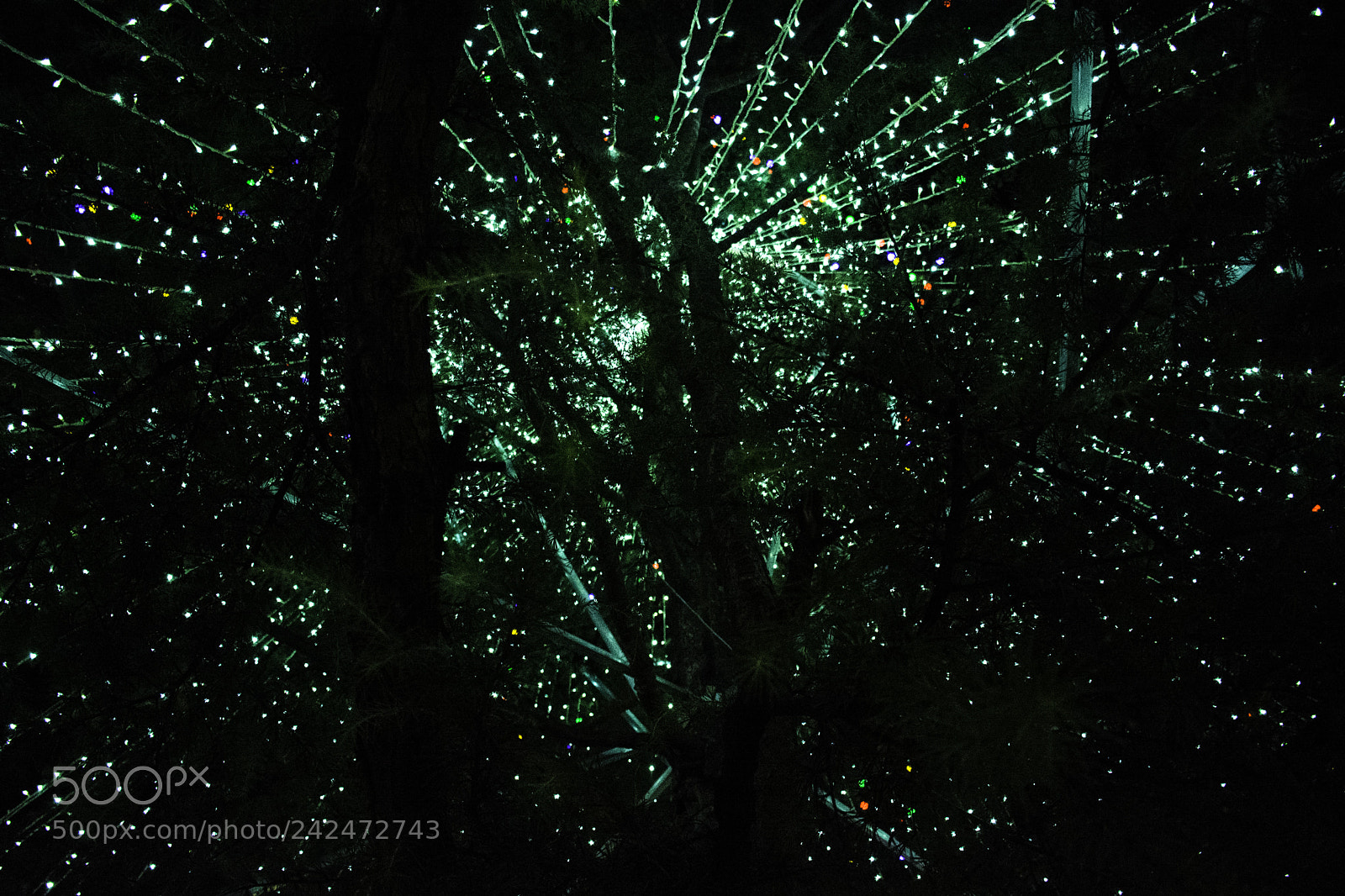 Nikon D7100 sample photo. Untitled photography
