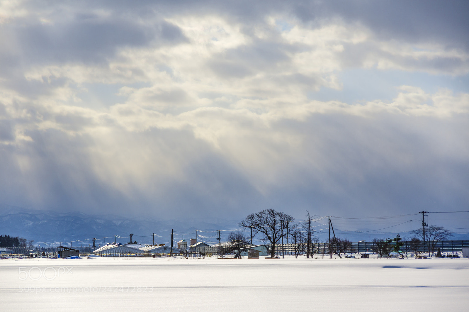 Pentax K-3 II sample photo. Sunshine photography