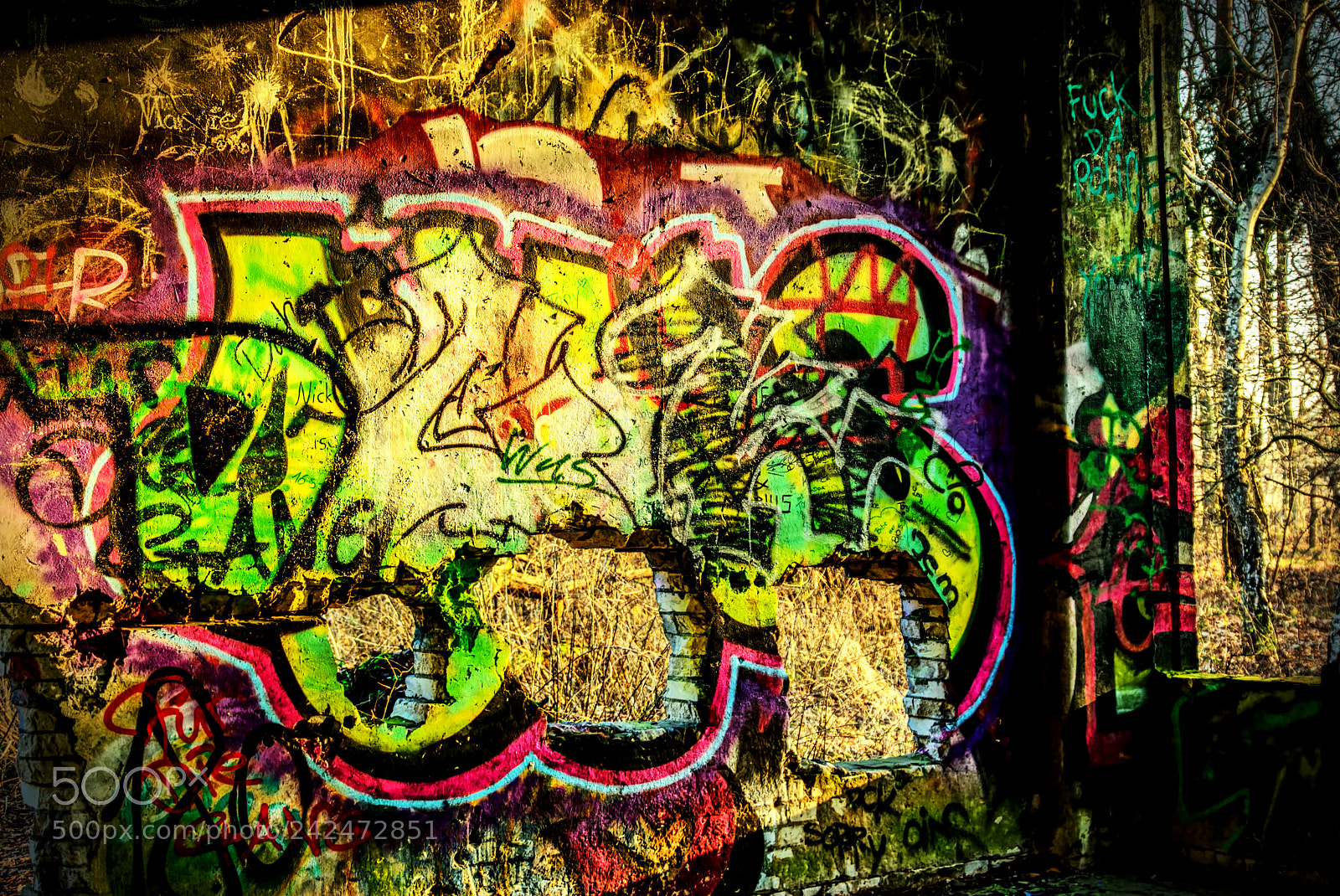 Pentax K10D sample photo. Graffiti photography