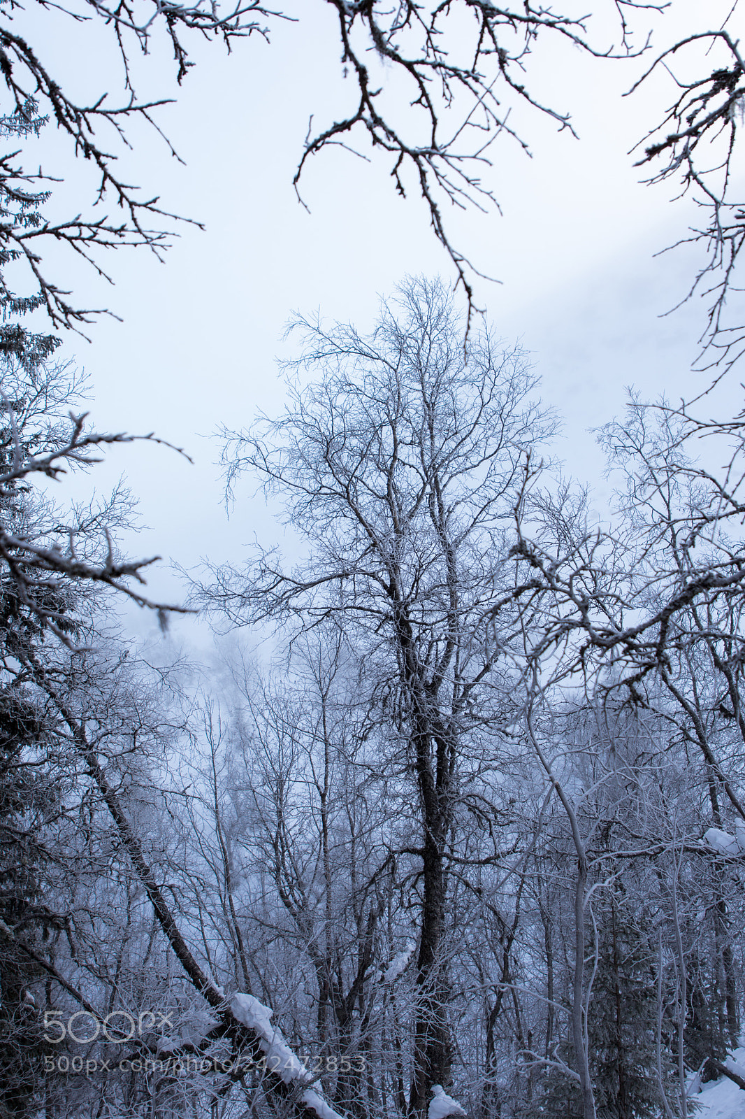 Nikon D7200 sample photo. Untitled photography