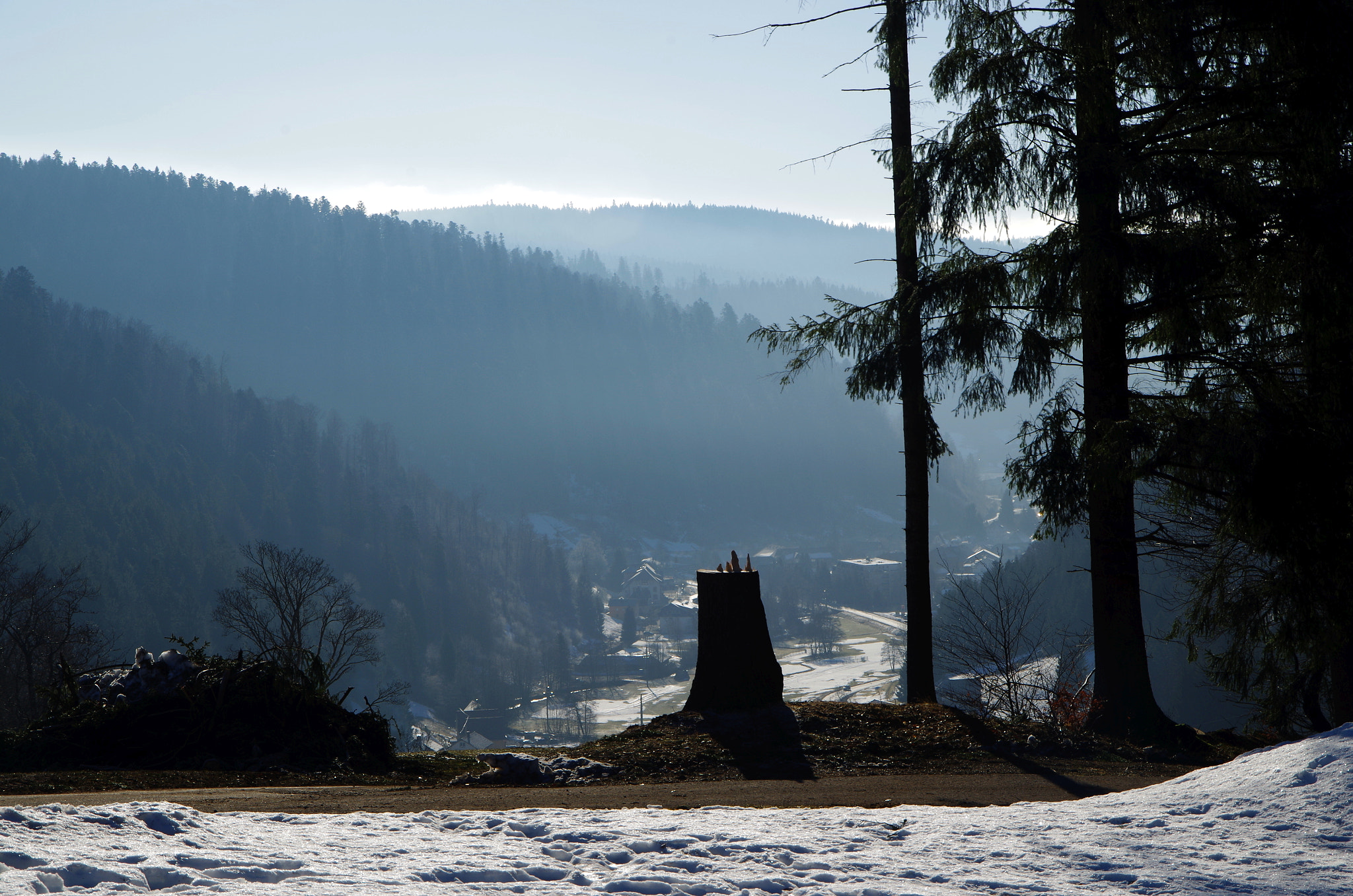 Pentax K-50 sample photo. Bernau photography