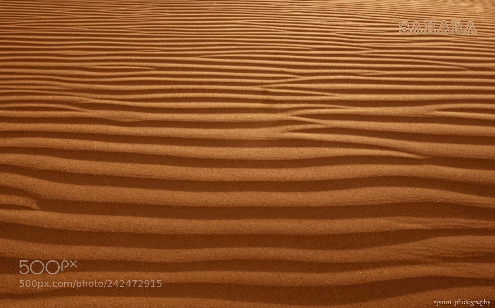 Nikon D300S sample photo. Sahara photography