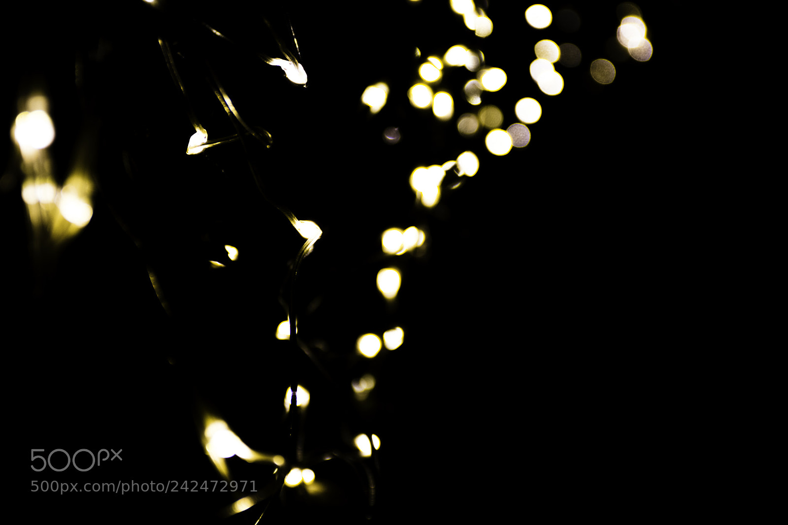 Nikon D7100 sample photo. Untitled photography