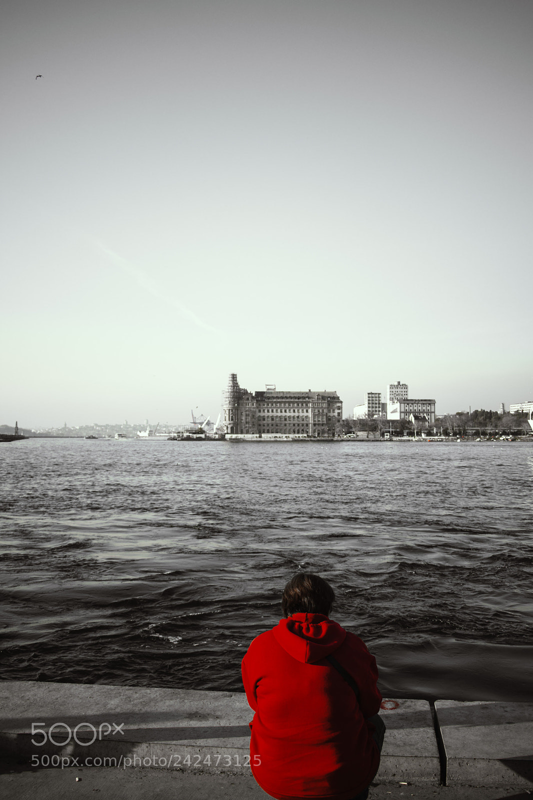 Nikon D7200 sample photo. The power of red photography