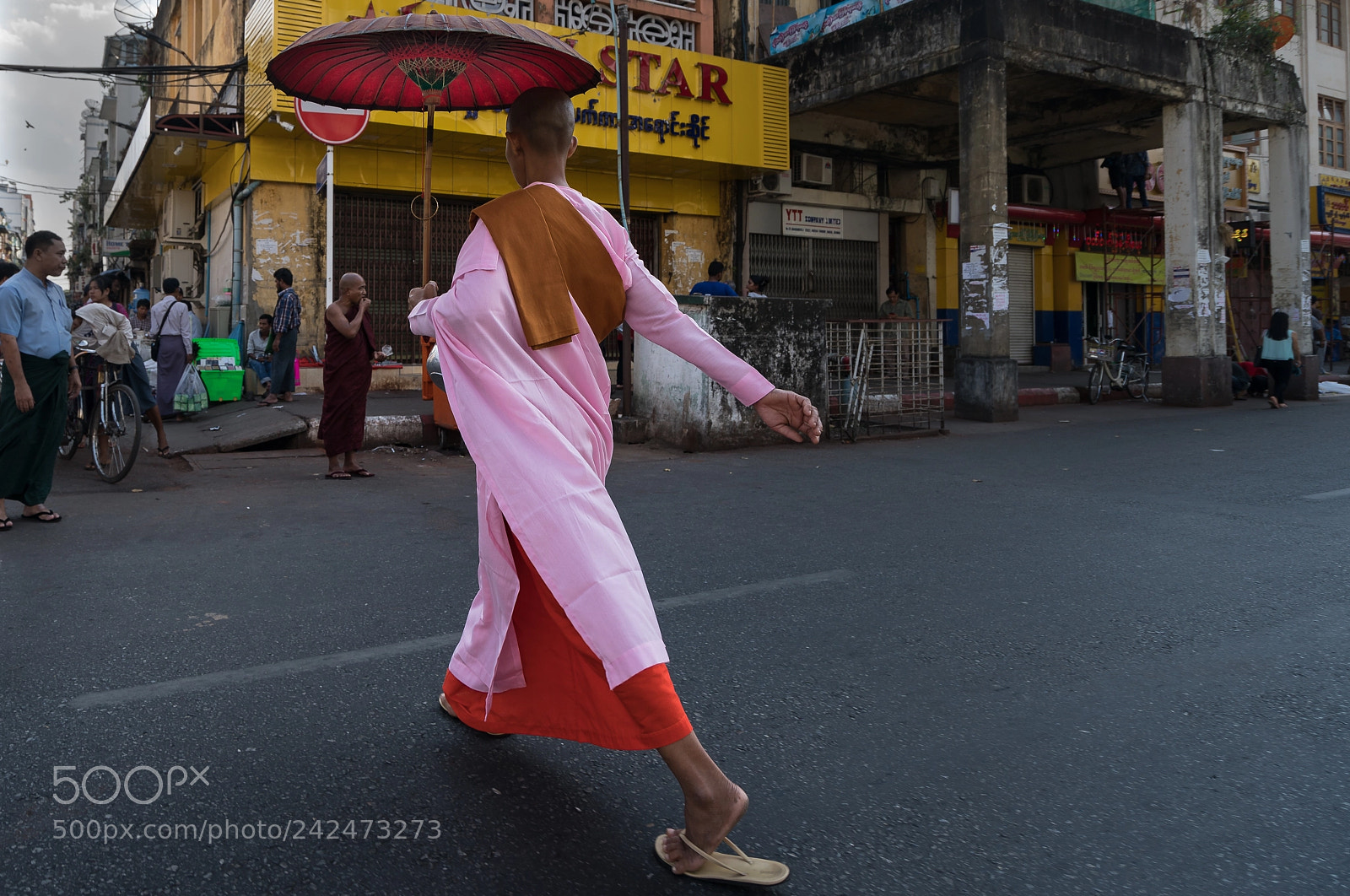 Sony a9 sample photo. Elegant gait of a photography