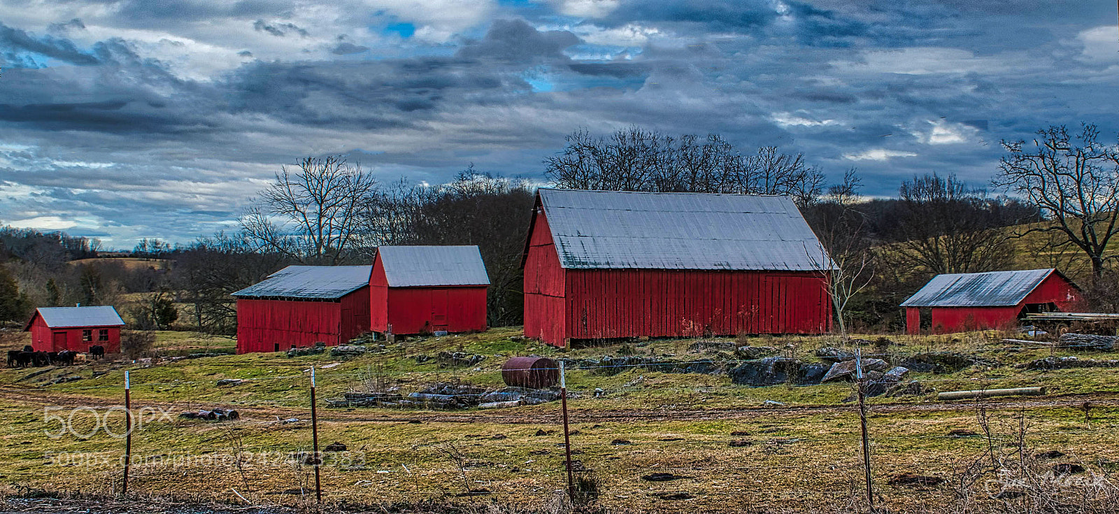 Nikon D5500 sample photo. Barns barns barns photography