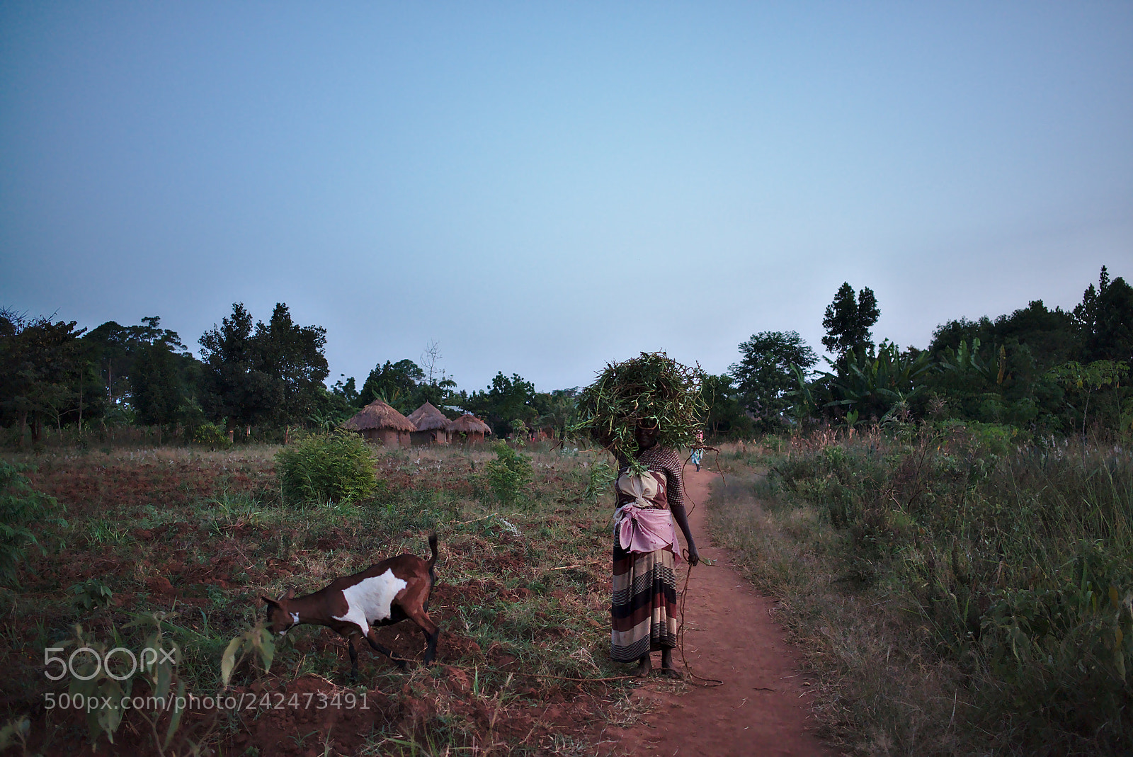 Fujifilm X-T1 sample photo. Working at the sunset photography