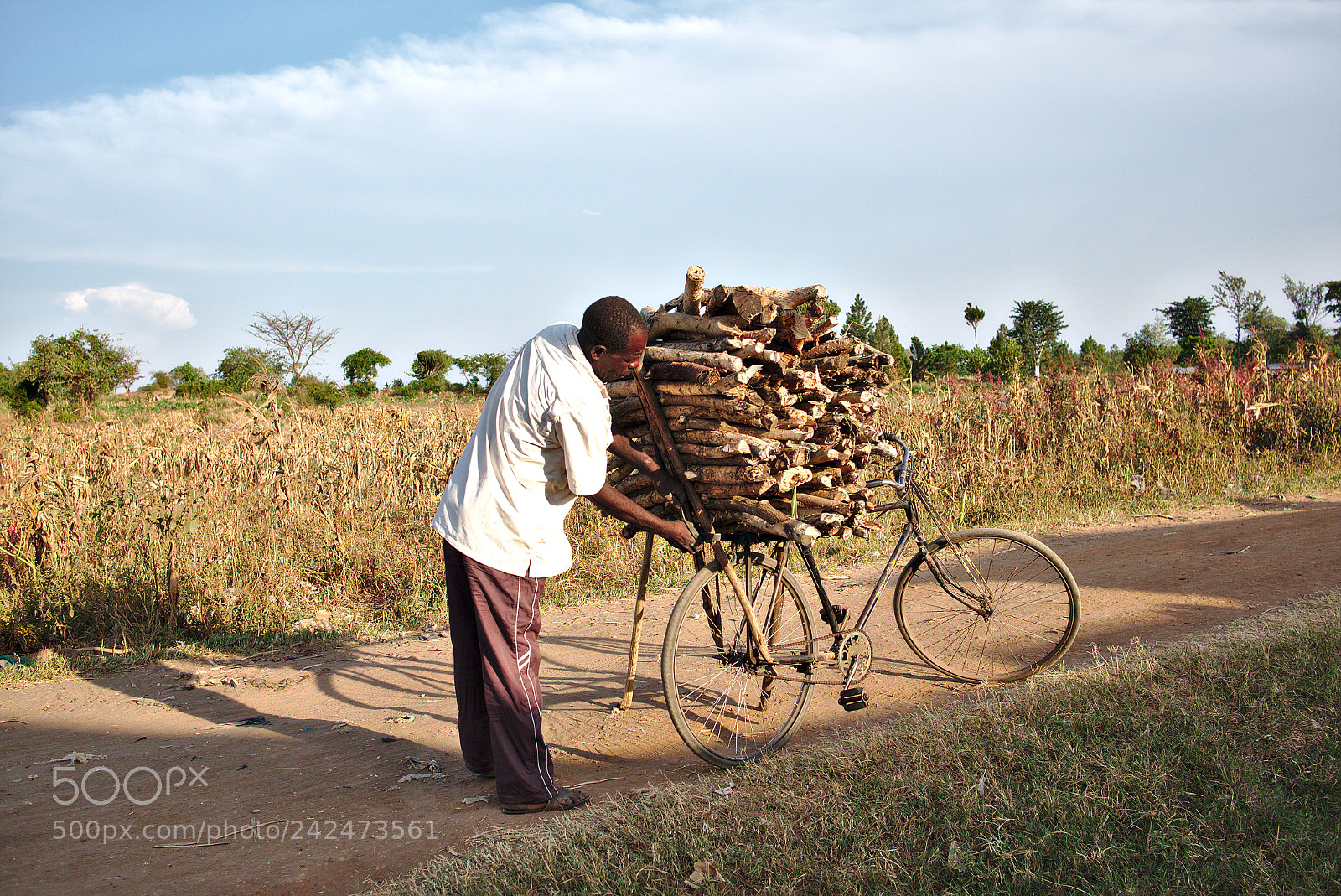 Fujifilm X-T1 sample photo. Woods carrying photography