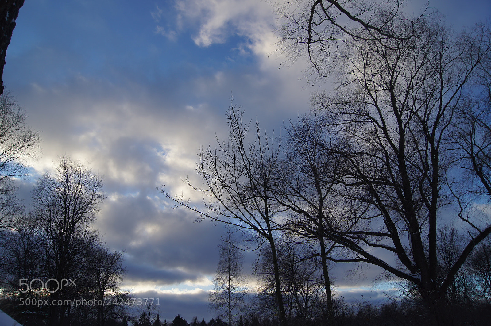 Sony Alpha DSLR-A580 sample photo. ...... photography