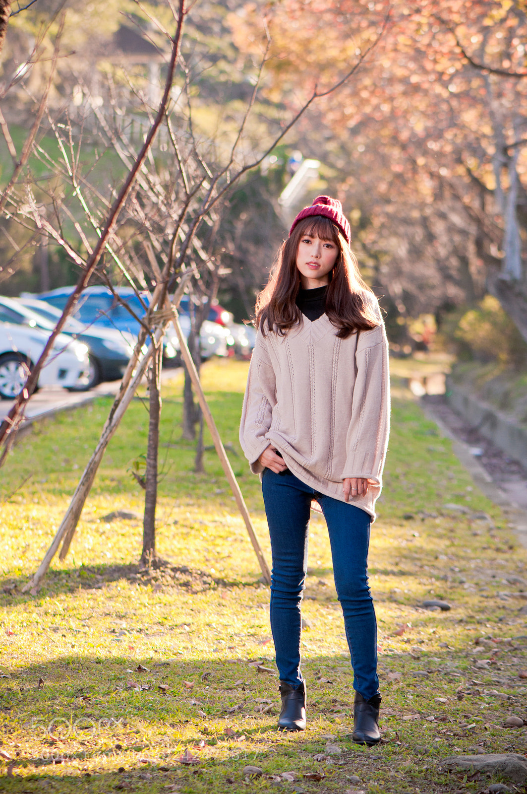 Nikon D90 sample photo. 20180114-166.jpg photography