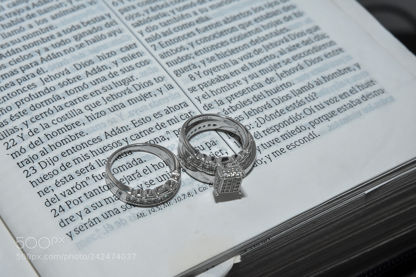 Nikon D7200 sample photo. Untitled photography
