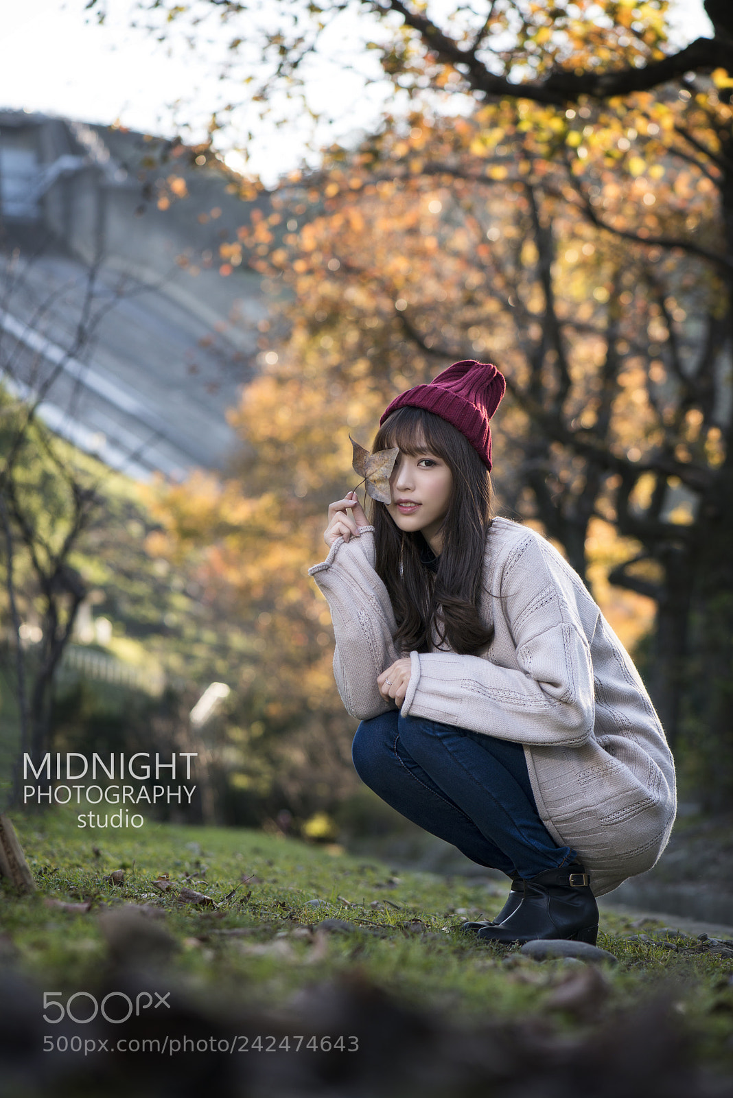 Nikon D800 sample photo. 那一頁楓紅 photography