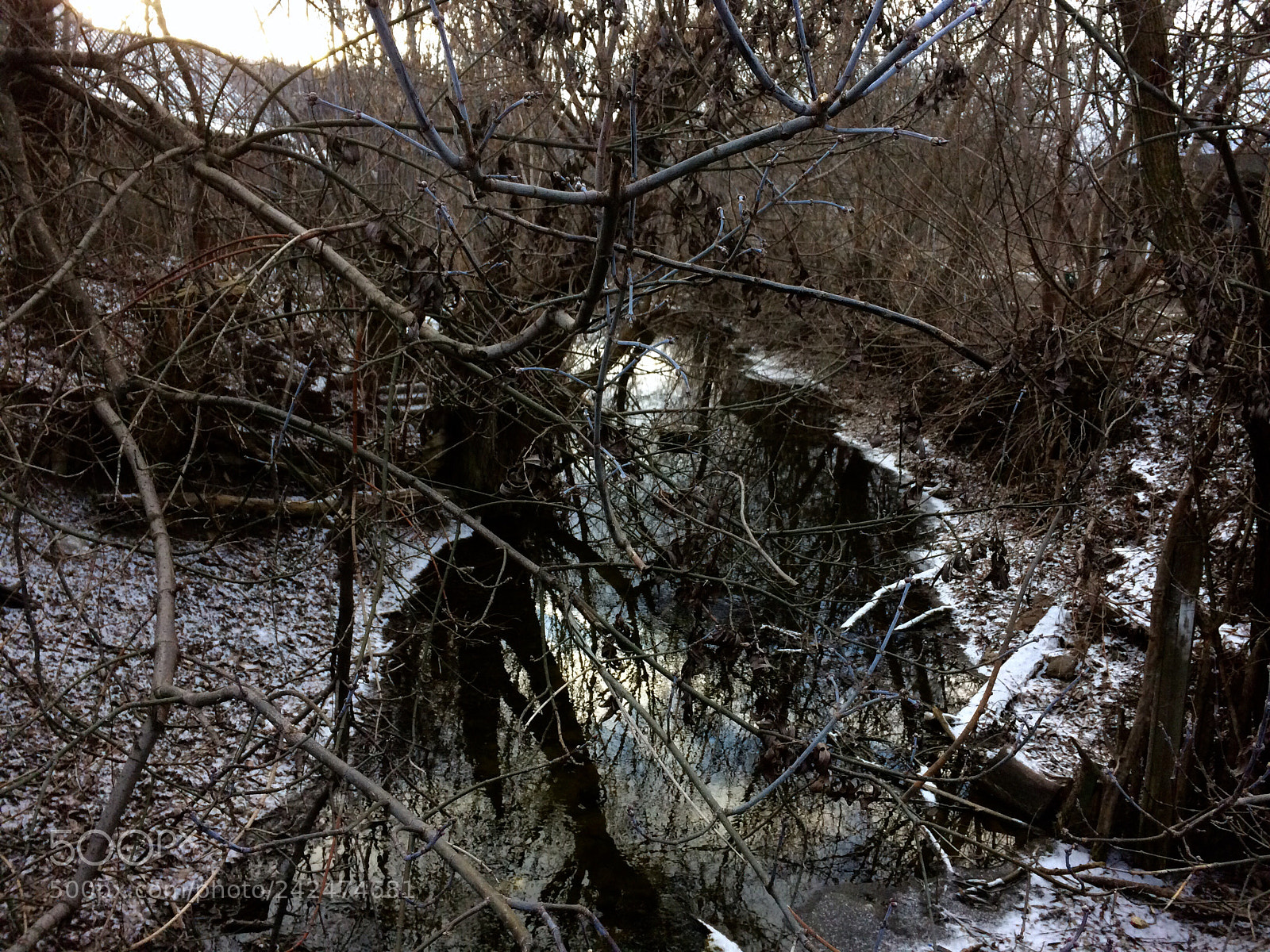 Apple iPhone 5s sample photo. Where are you? photography
