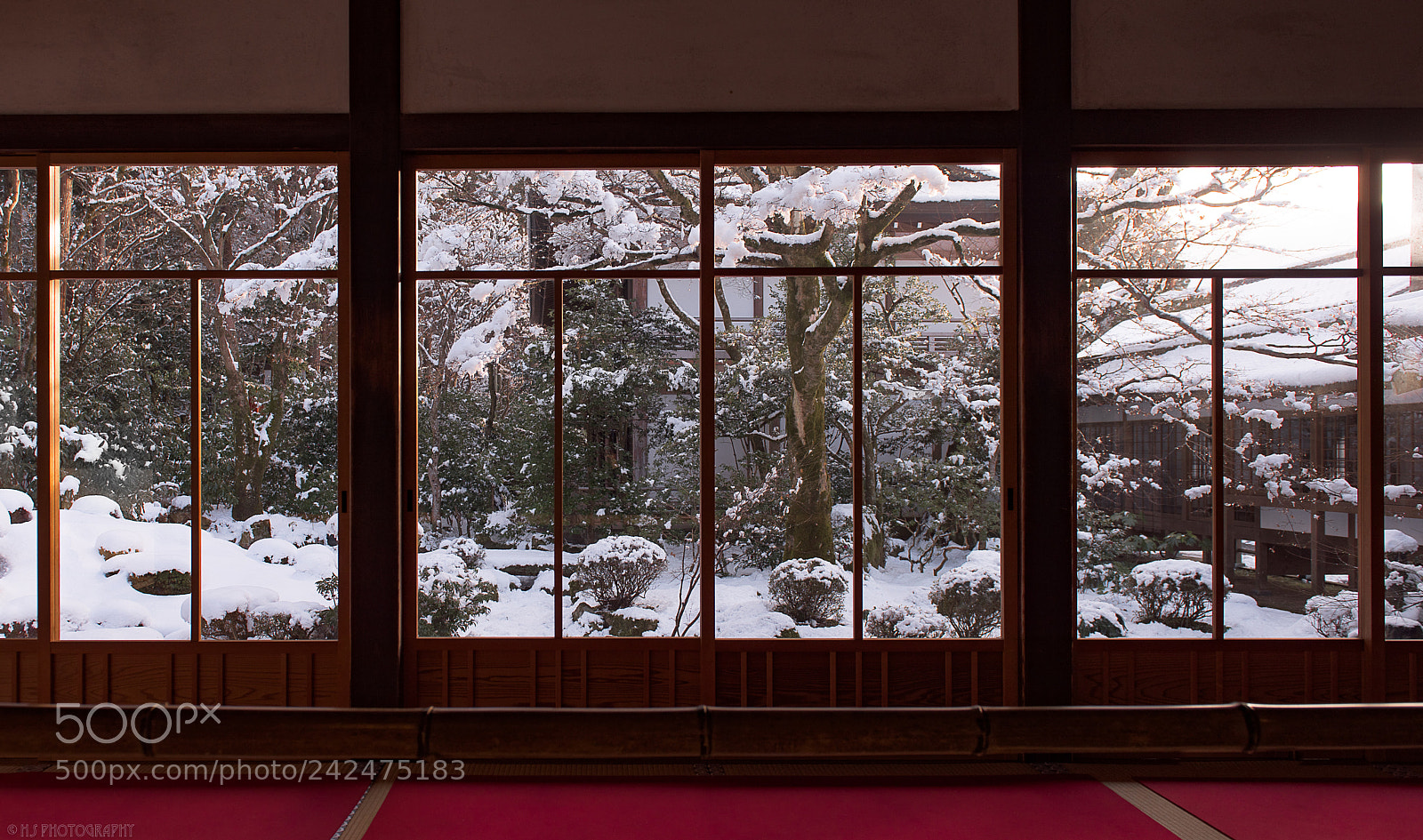 Nikon D810 sample photo. Snowy dusk photography