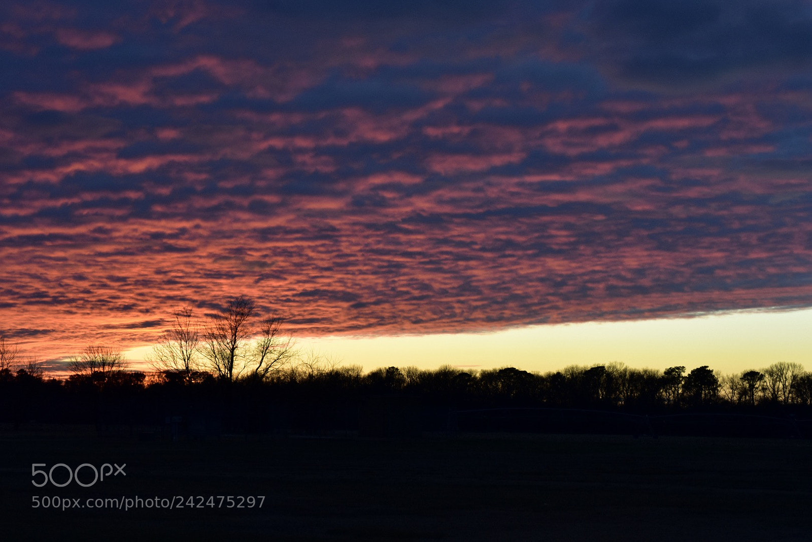 Nikon D3400 sample photo. Sunset photography