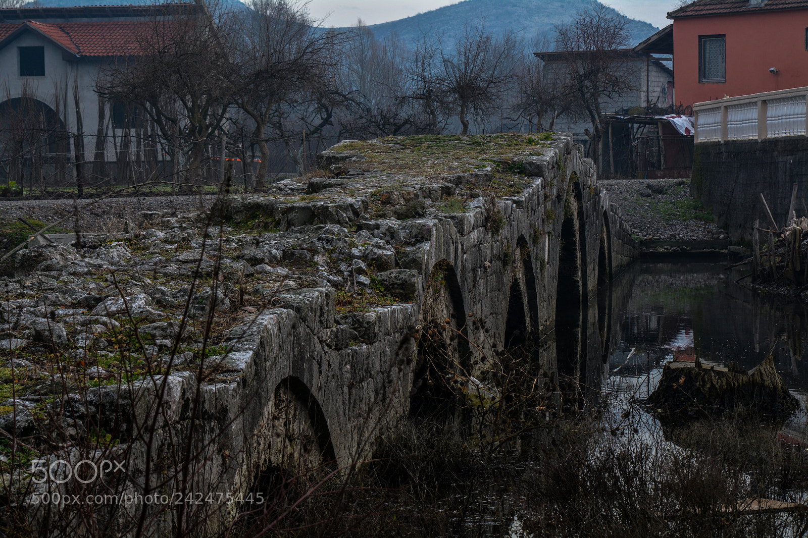 Nikon D7100 sample photo. Old forgotten bridge photography