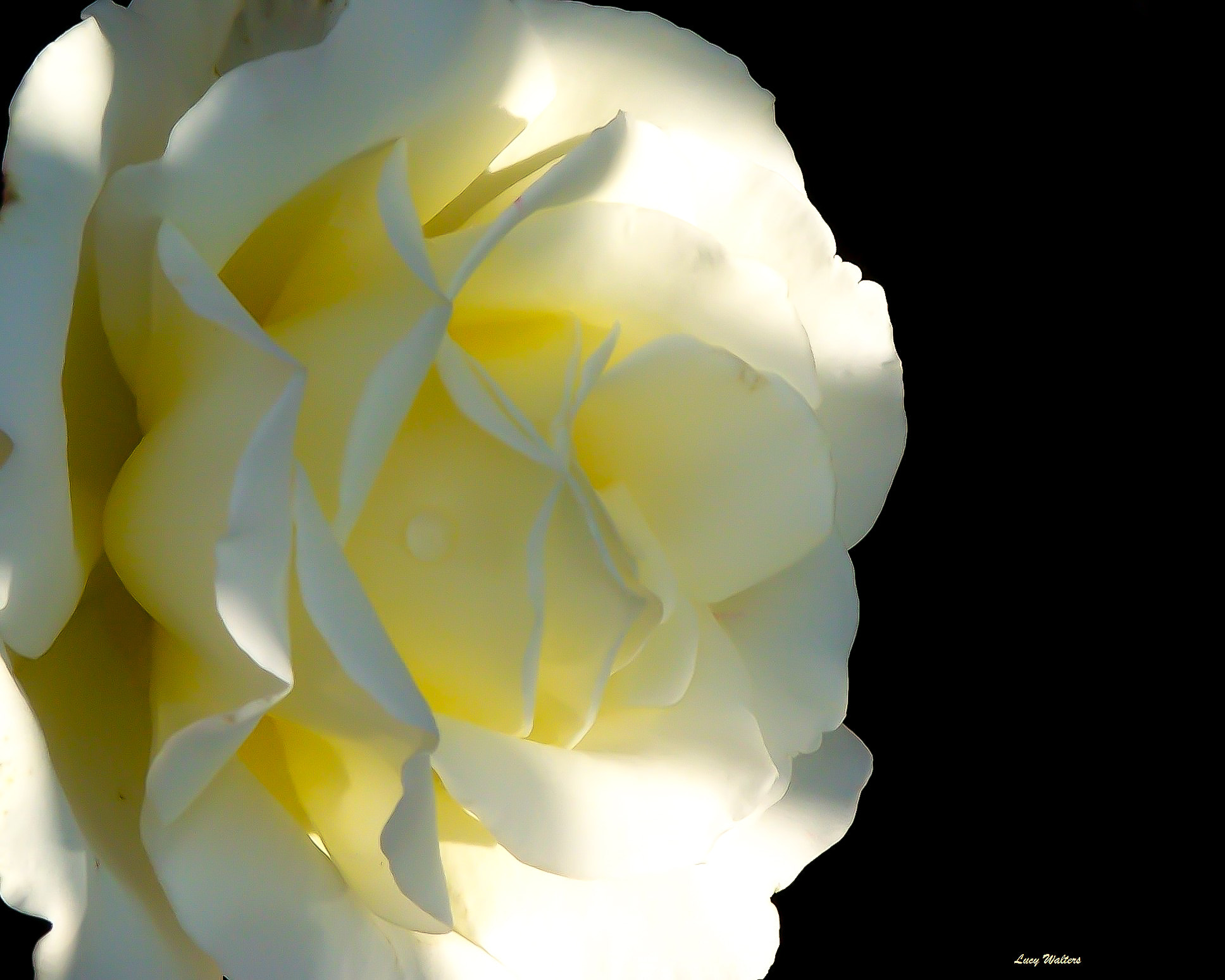 Kodak Z650 ZOOM DIGITAL CAMERA sample photo. Light in the darkness photography
