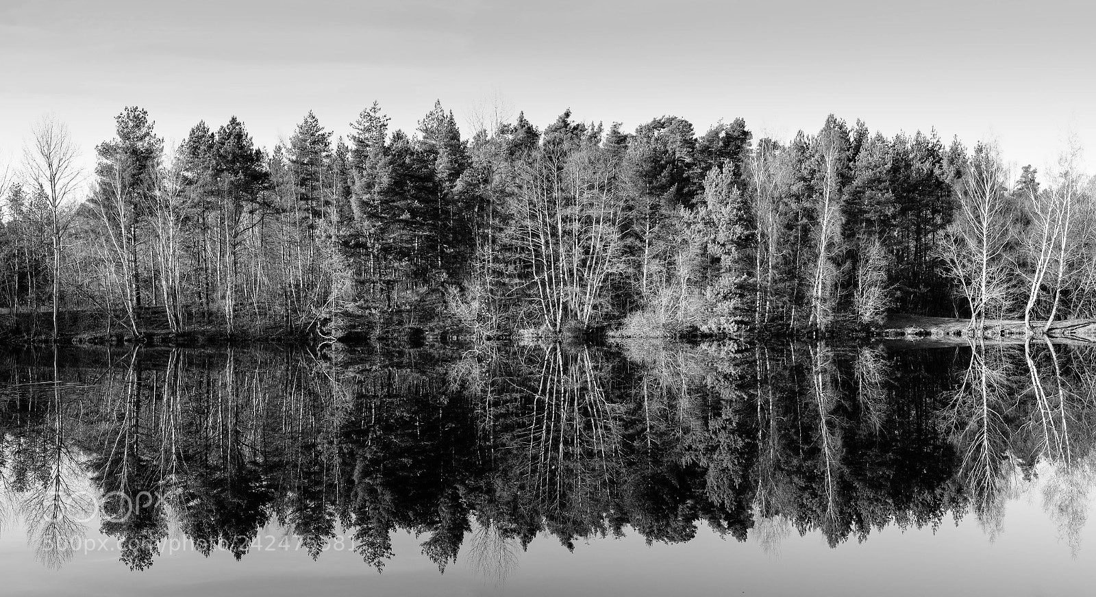 Fujifilm X-T20 sample photo. Reichswald test photography