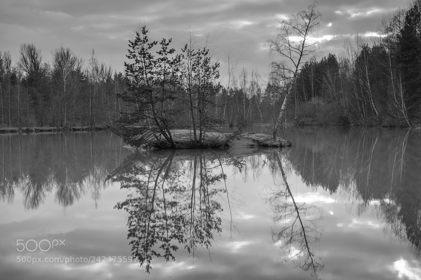 Fujifilm X-T20 sample photo. Reichswald insel hdr photography