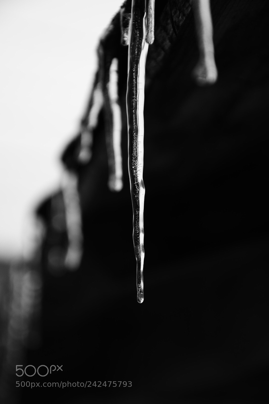 Nikon D7100 sample photo. Black and white photography