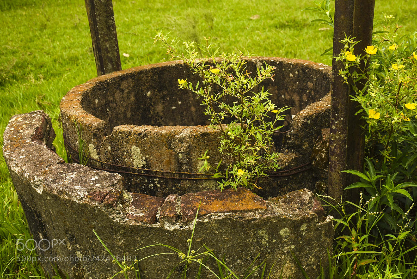 Nikon D7200 sample photo. Antigua estaci n de photography
