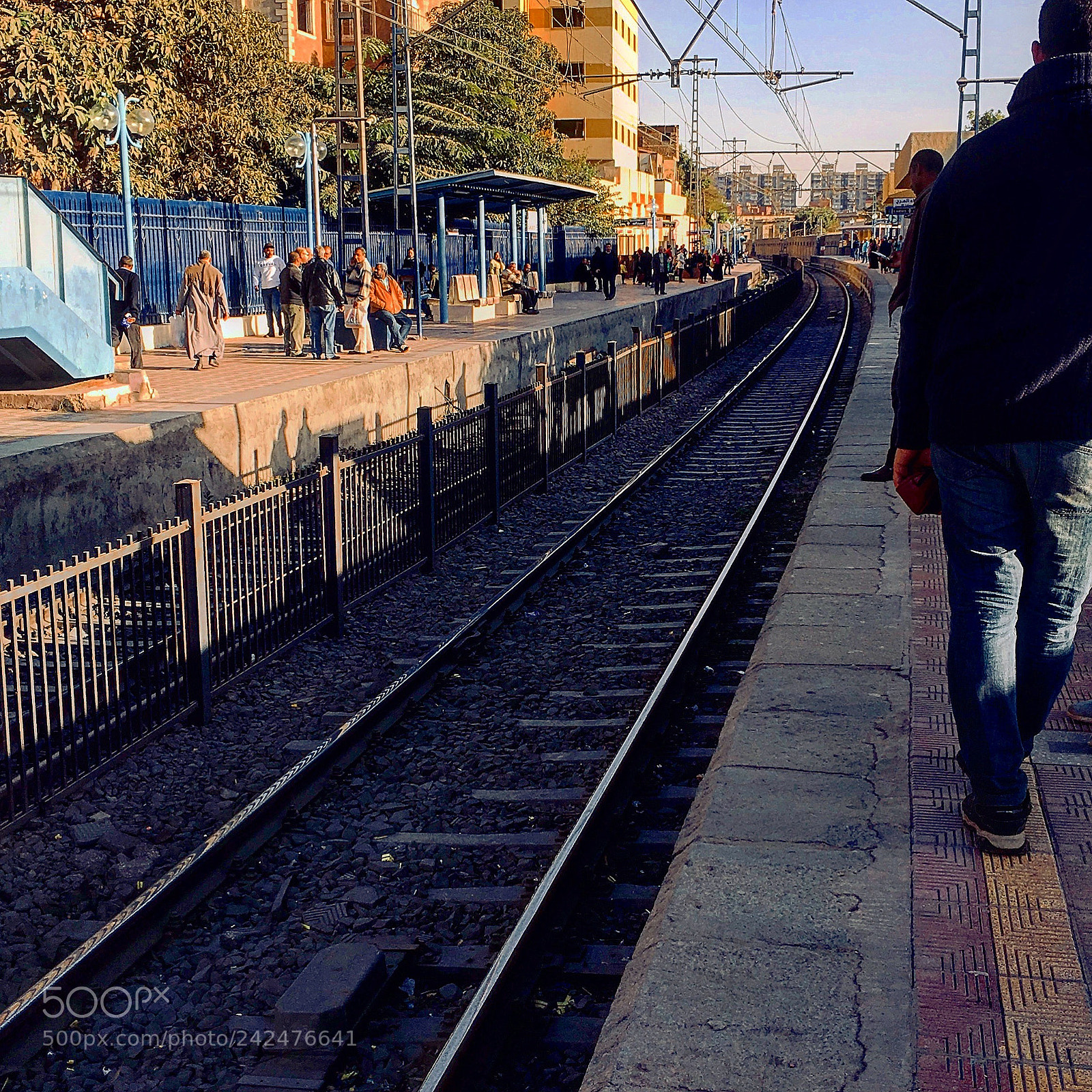 Apple iPhone 6s Plus sample photo. Untitled photography