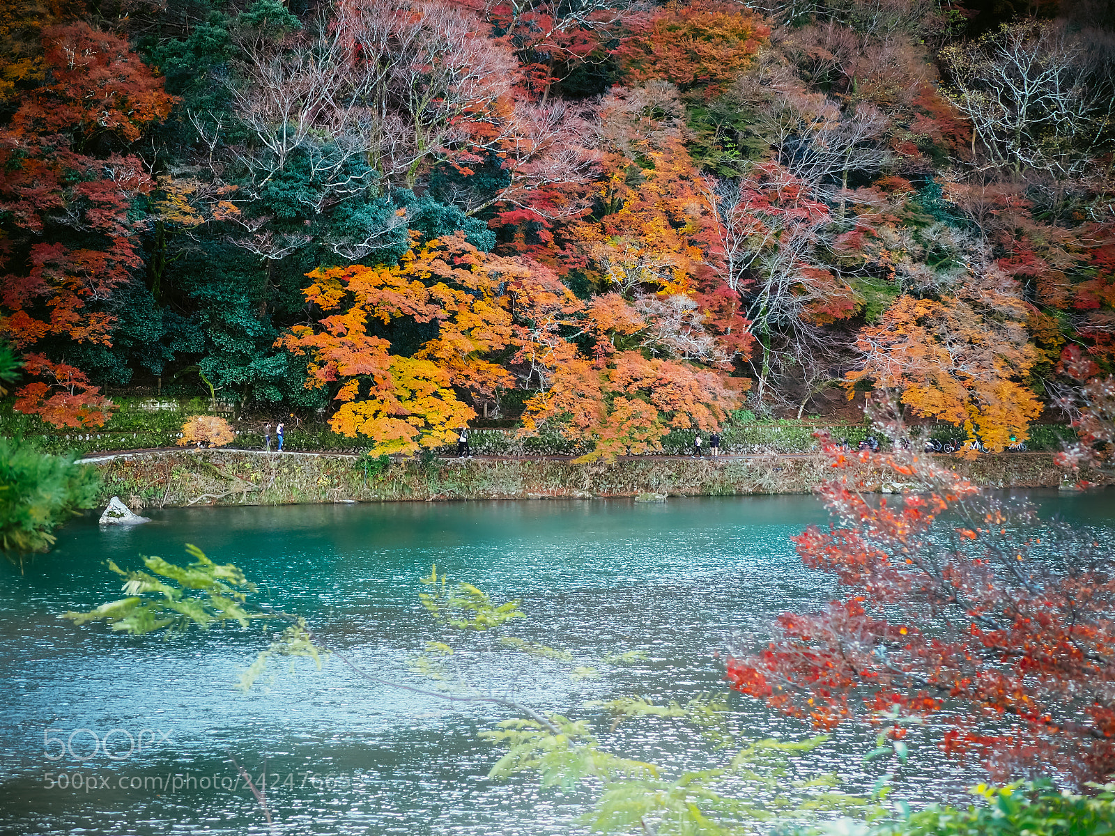 Olympus OM-D E-M10 II sample photo. Serenity photography