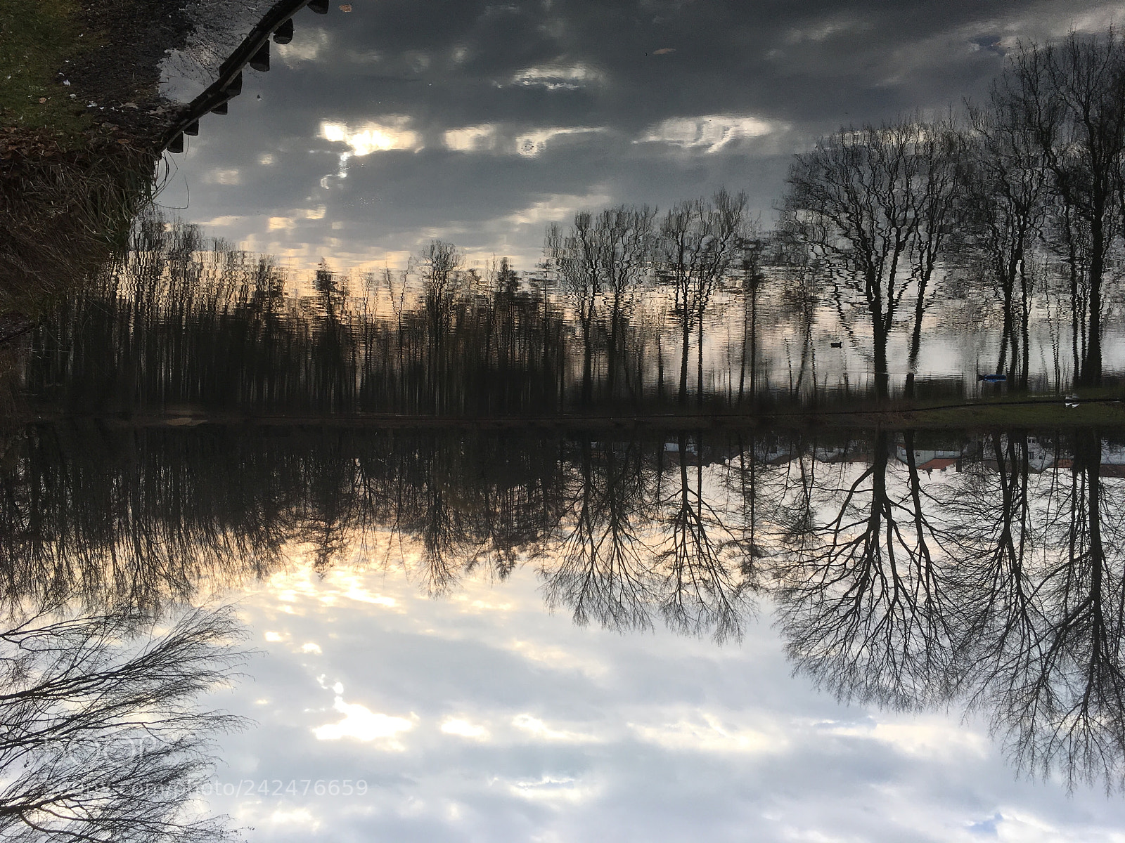 Apple iPhone SE sample photo. Upside down  photography