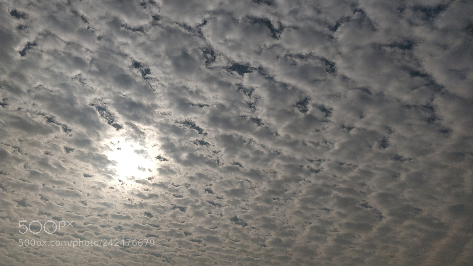 OnePlus 5 sample photo. Untitled photography