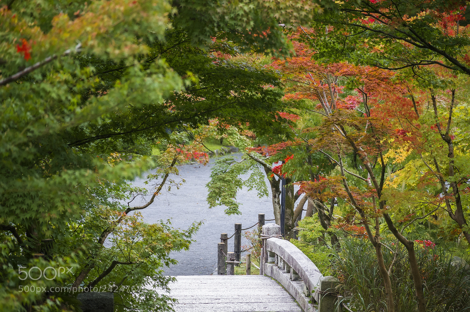 Canon EOS M sample photo. Only in japan photography