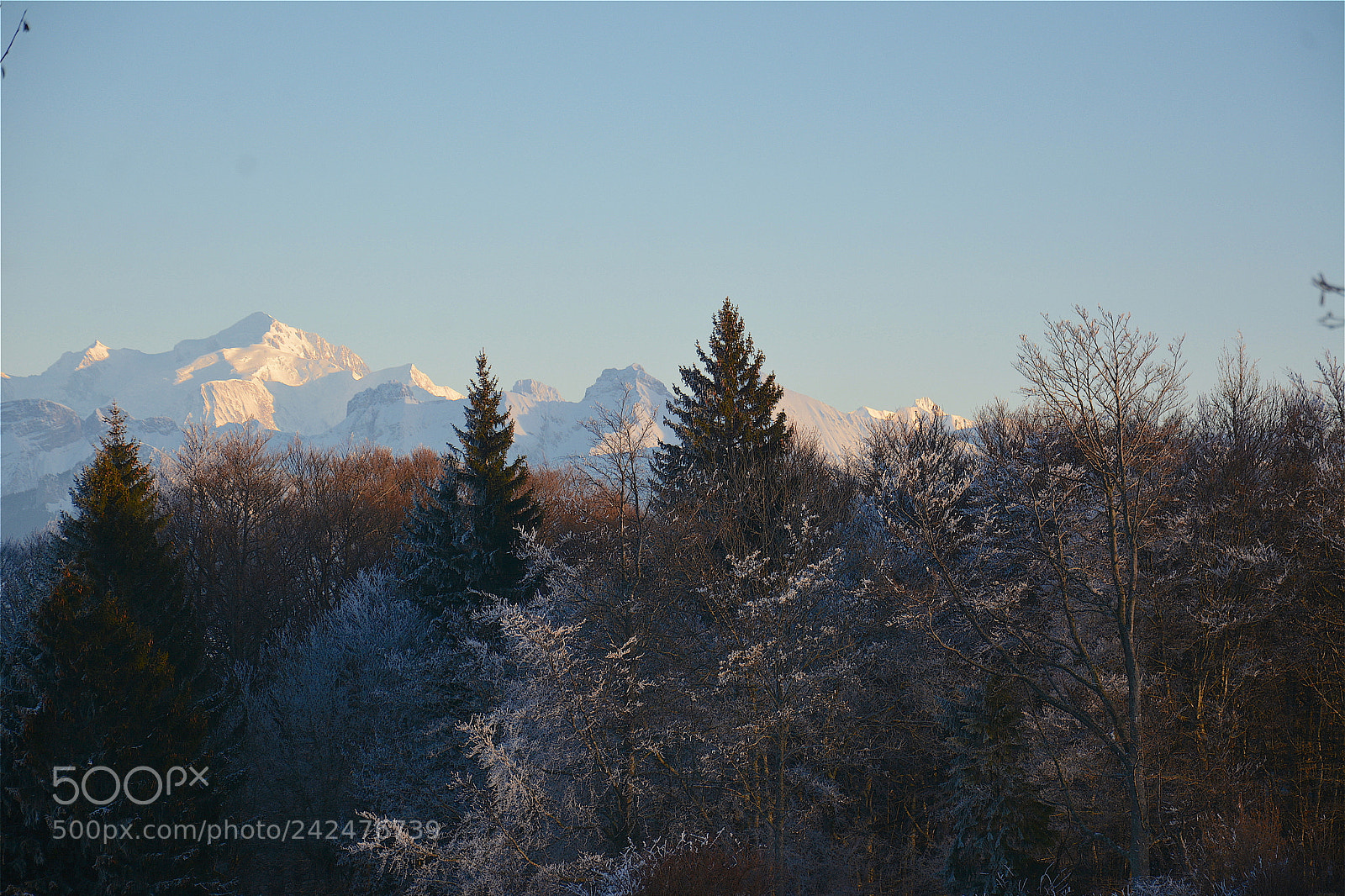 Nikon D7100 sample photo. Mt blanc from saleve photography