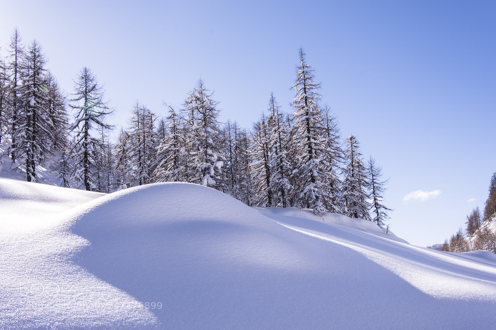 Nikon D7200 sample photo. Sun over the top photography