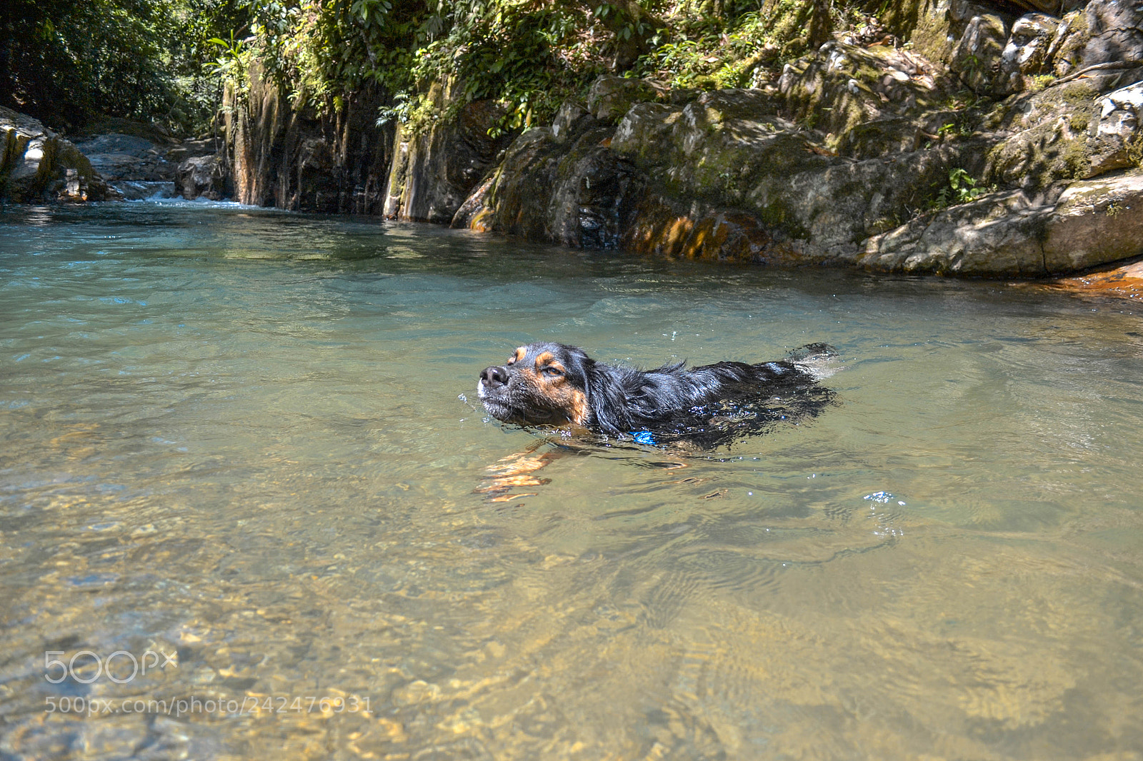 Nikon D3100 sample photo. Florencia - caqueta photography