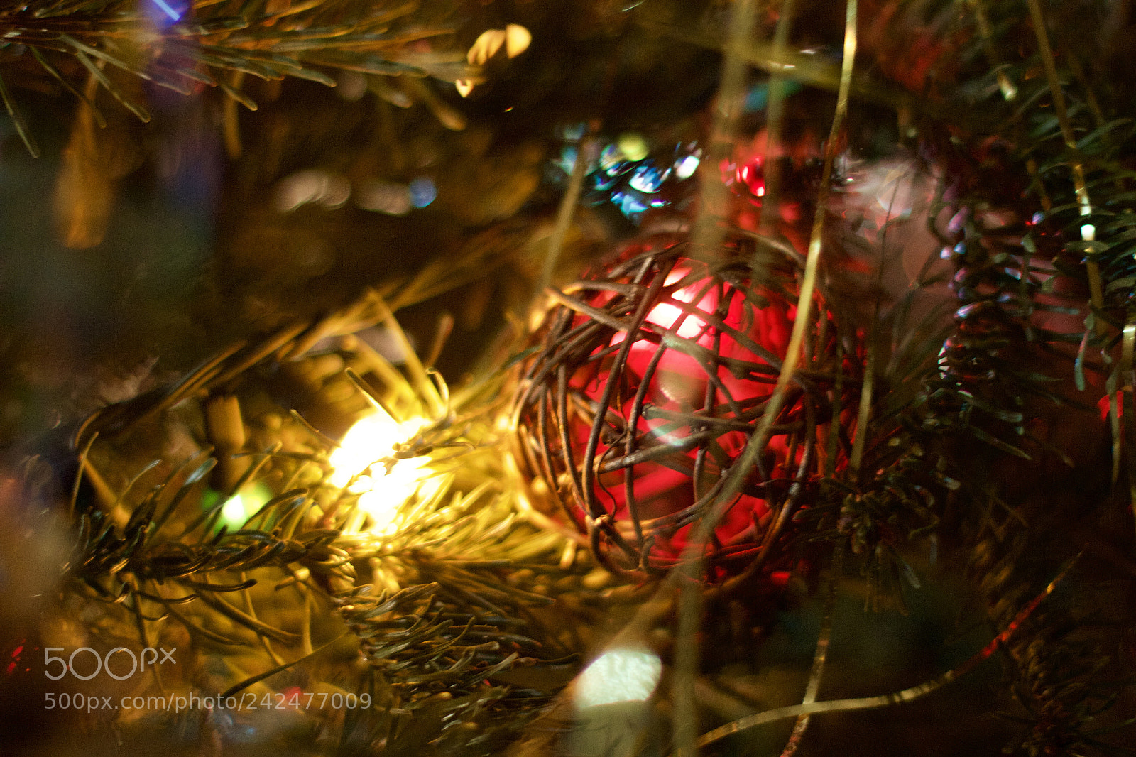 Canon EOS 550D (EOS Rebel T2i / EOS Kiss X4) sample photo. Merry christmas photography
