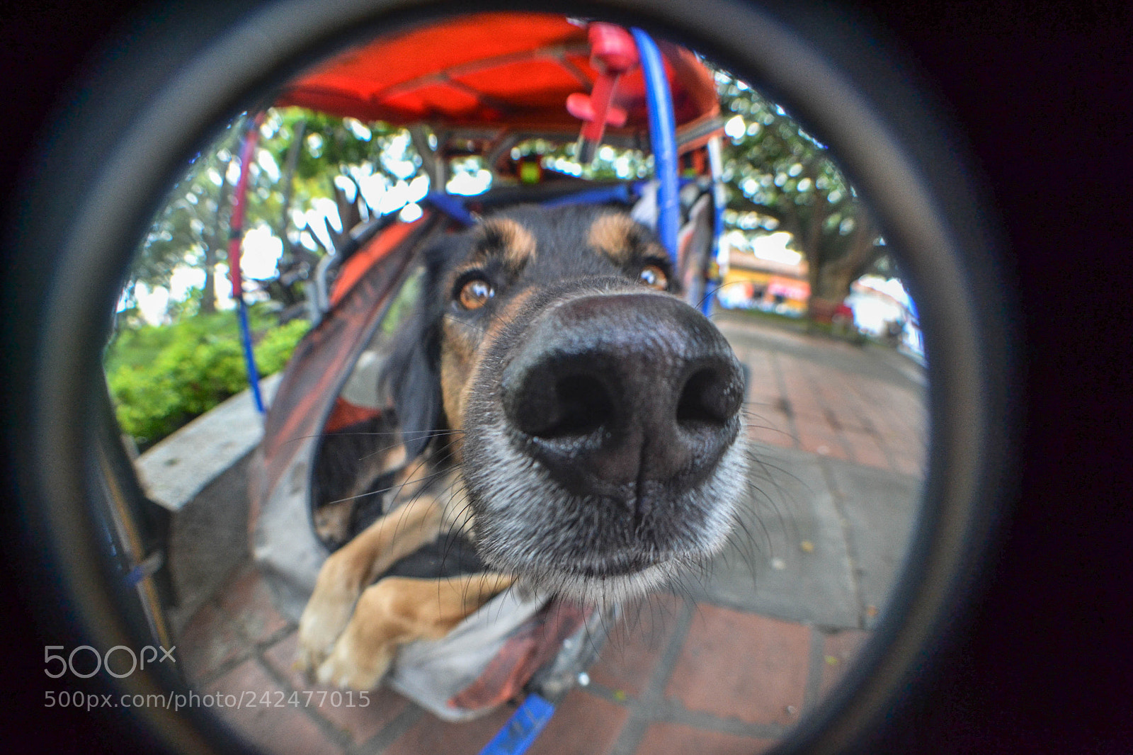 Nikon D3100 sample photo. Florida - valle del photography