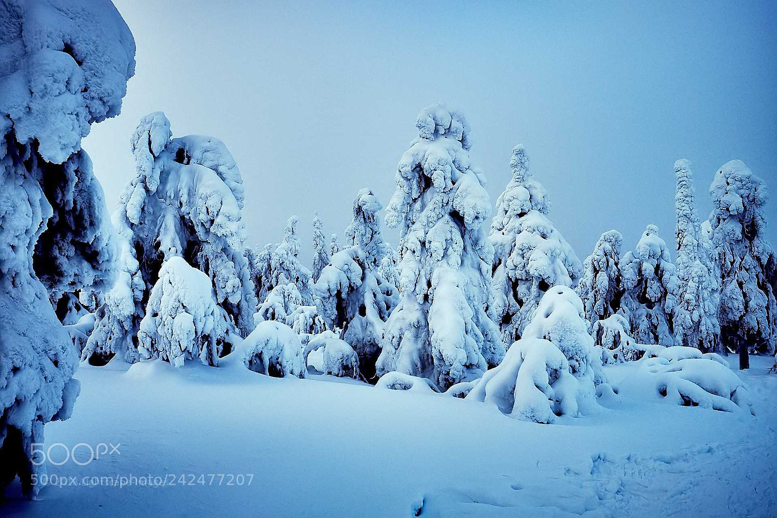 Fujifilm X-T1 sample photo. Winter serenity photography