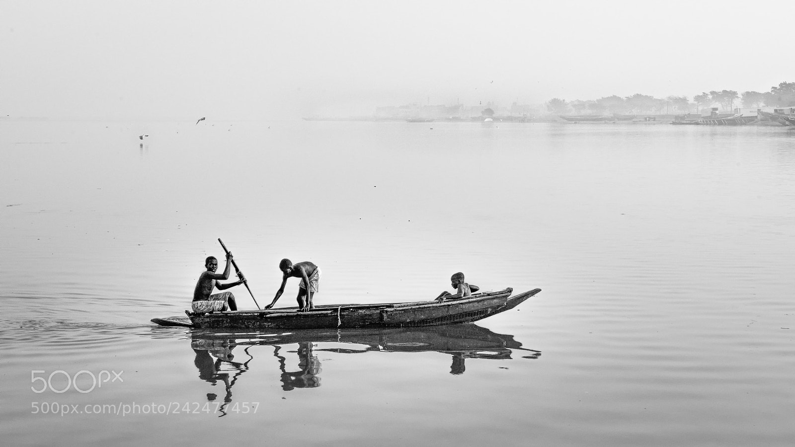 Nikon D800 sample photo. Morning mist photography