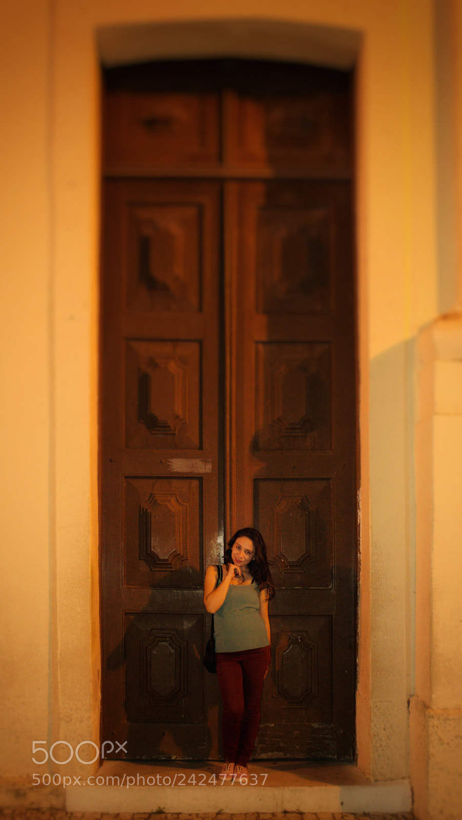 Nikon D5000 sample photo. Porta marron photography