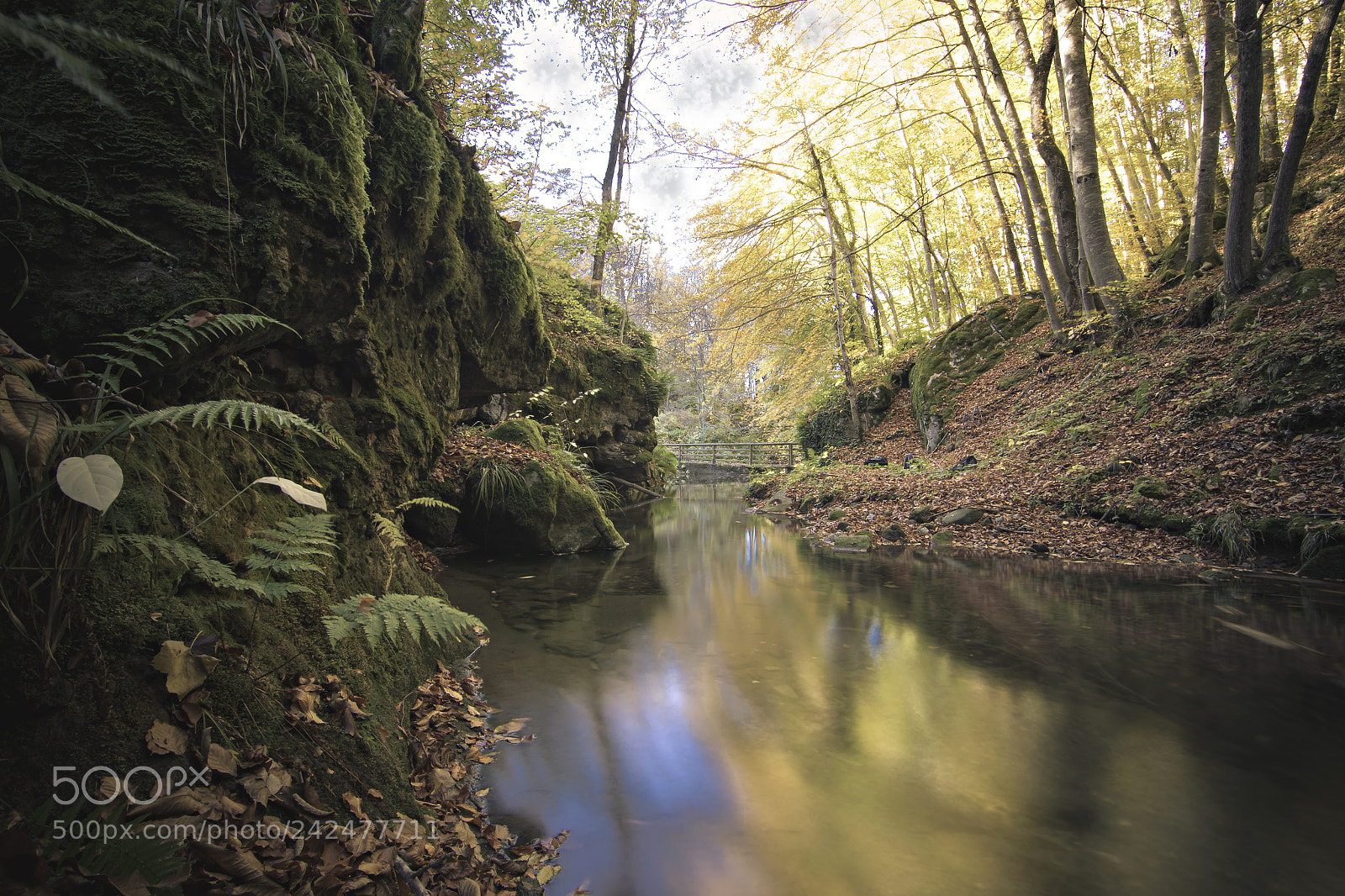 Canon EOS 7D Mark II sample photo. The nature photography